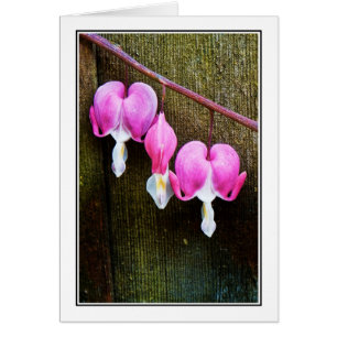 Purge de coeurs