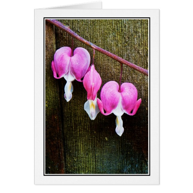 Purge de coeurs (Devant)