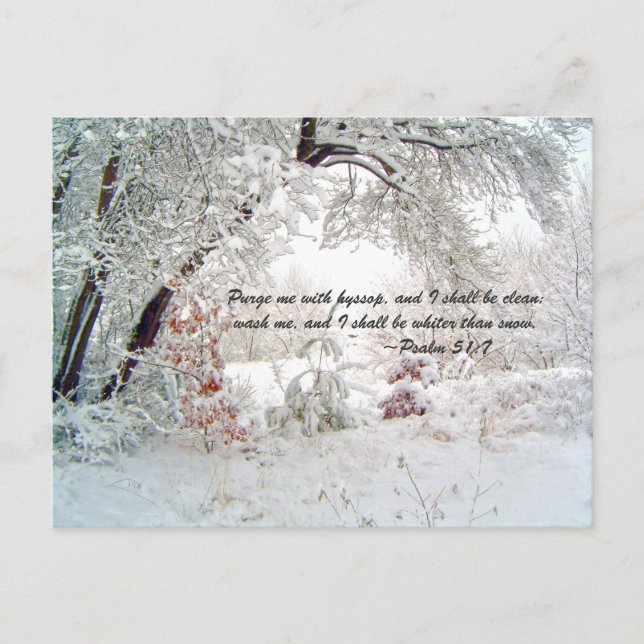 Purge me with hyssop, and I shall be clean: wash m Postcard (Front)