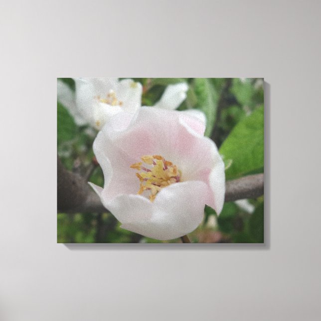 Purity Canvas Print (Front)