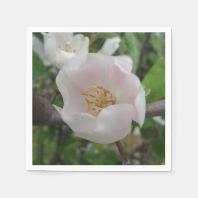 Purity Cocktail Paper Napkins (Front)