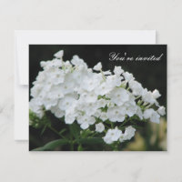 Purity