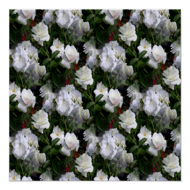 Purity... Poster (Front)