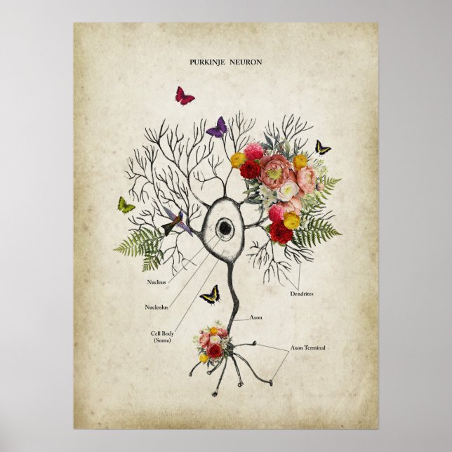 Purkinje Cell Neuron Anatomy with Flowers Poster (Front)