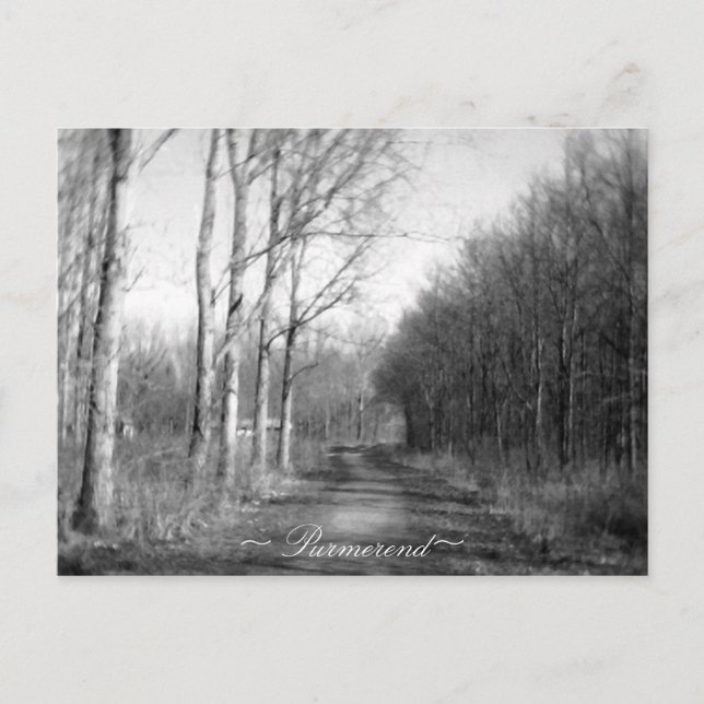 Purmerend Netherlands Postcard (Front)