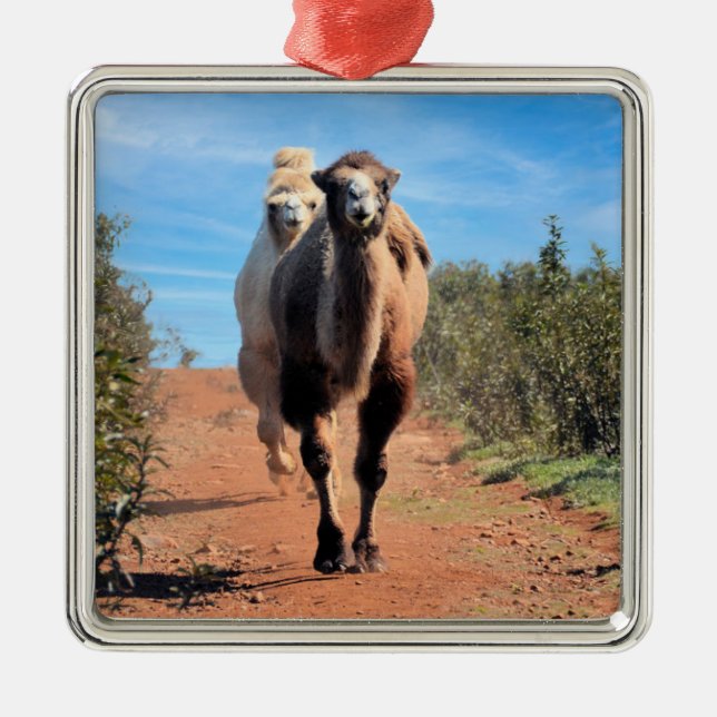 Purnimama & Delany Metal Ornament (Front)