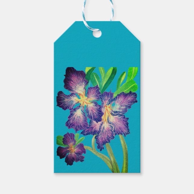 Purple Adenium Gift Tags (Front)