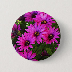 Purple African Daisy 2 Inch Round Button