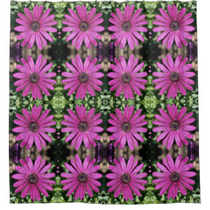 Purple African Daisy Flower Pattern  