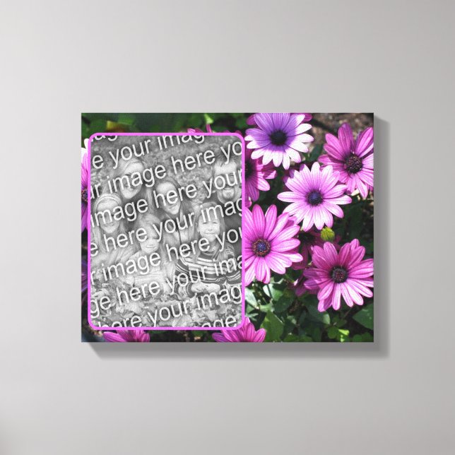 Purple African Daisy Flowers Create Your Own Photo Canvas Print (Front)
