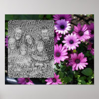 Purple African Daisy Flowers Frame Add Your Photo