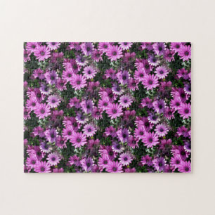 Purple African Daisy Flowers Nature Jigsaw Puzzle