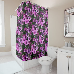 Purple African Daisy Flowers Nature Pattern 