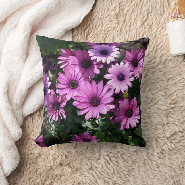 Purple African Daisy Flowers  Throw Pillow (Blanket)