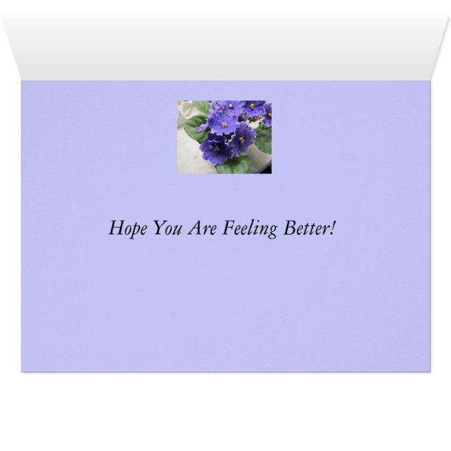 Purple African Violet Flowers (Inside Horizontal (Bottom))