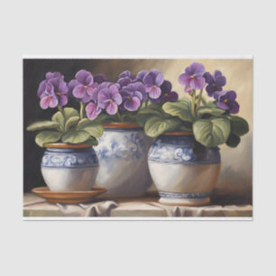 Purple African Violet Plants in the Pots  Tissue Paper