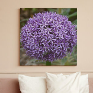 Purple Allium Bloom Floral Canvas Print