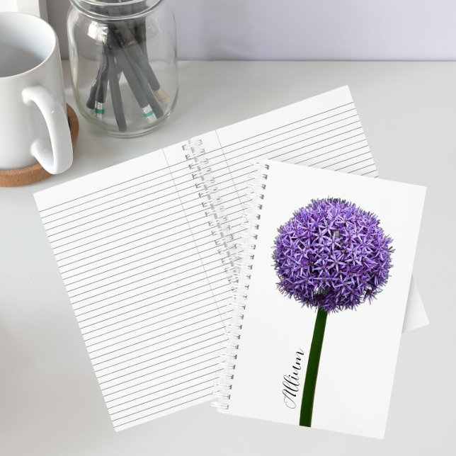 Purple Allium Bloom on White Background Notebook (In Situ)