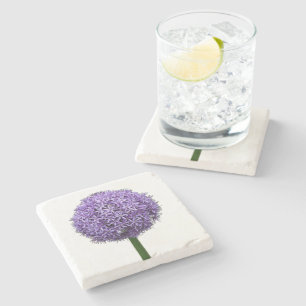 Purple Allium Bloom on White Background Stone Coaster