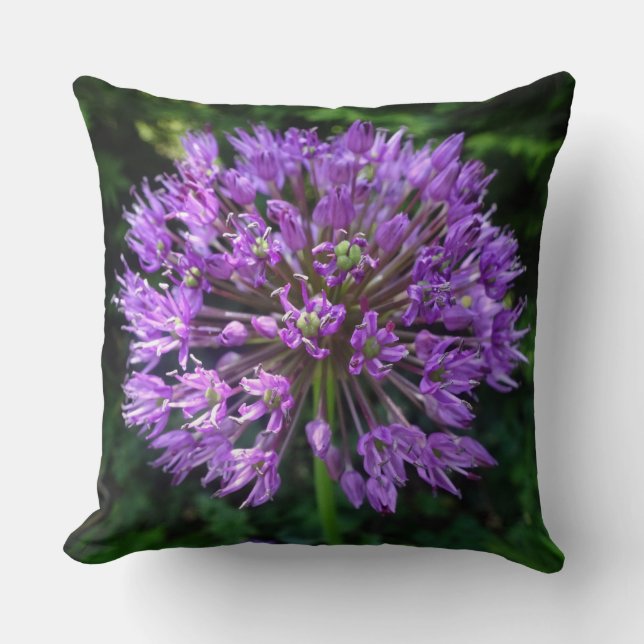 Purple Allium Close up Throw Pillow (Front)