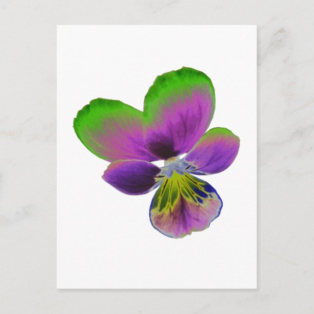 Purple and Green Pansy Postcard (Front)