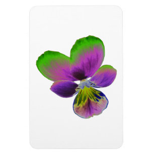 Purple and Green Pansy Premium Magnet