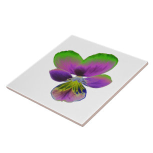 Purple and Green Pansy Tile