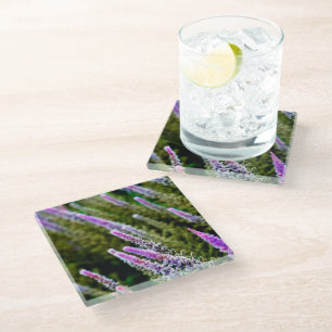 Purple and Green Wildflower Glass Coaster