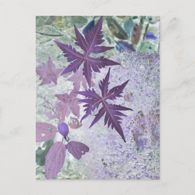 Purple and heather pastel shade  postcard (Front)