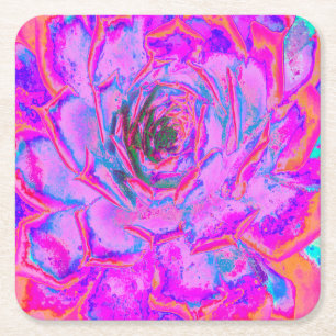 Purple and Magenta Succulent Sedum Rosette Square Paper Coaster