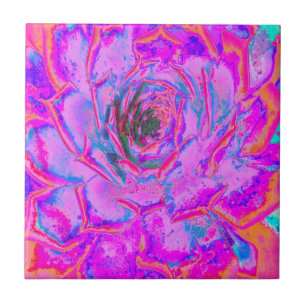 Purple and Magenta Succulent Sedum Rosette Tile