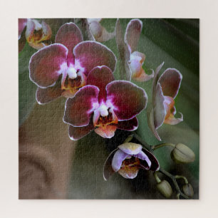 Purple and Maroon Orchid Blossoms Jigsaw Puzzle