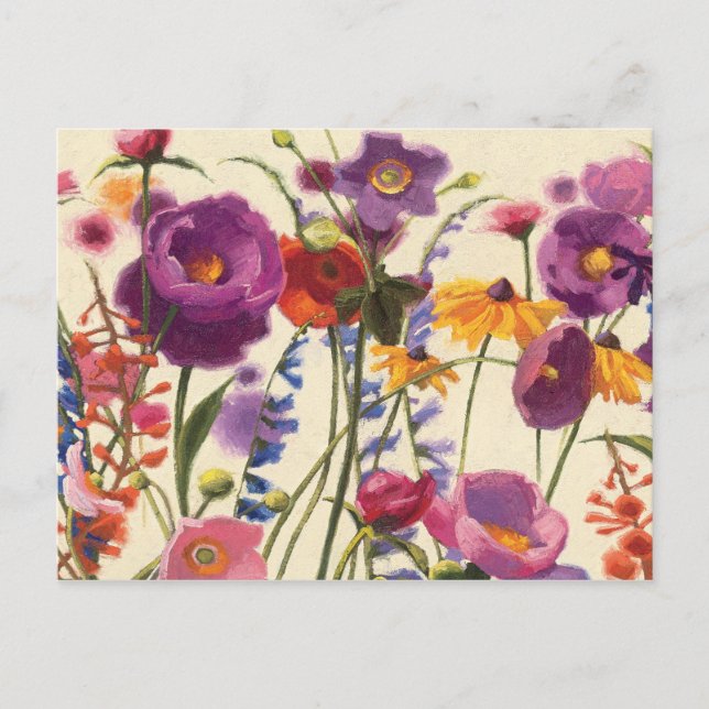 Purple and Orange Poppy Melody Postcard (Front)