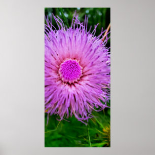 Purple and Pink Flower Poster