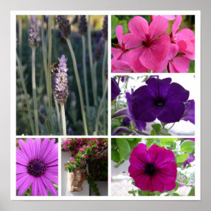 Purple and Pink Flowers Poster