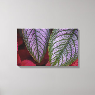 Purple and Red Leaved Canvas
