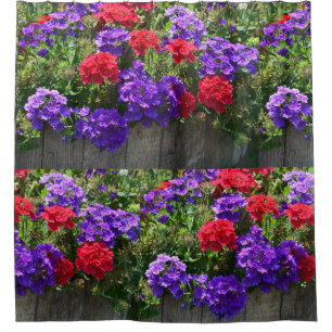 Purple And Red Verbena