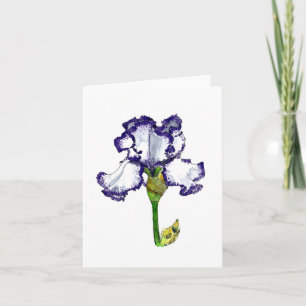 Purple and White Bearded Iris Card