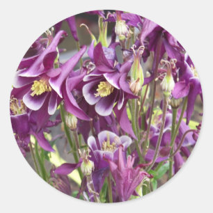 Purple and White Columbines Stickers