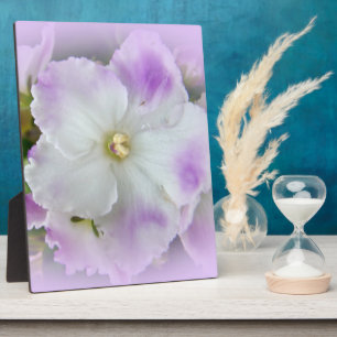 Purple and White Fancy African Violets Plaque