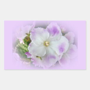 Purple and White Fancy African Violets Sticker