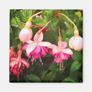Purple and white flowers magnet