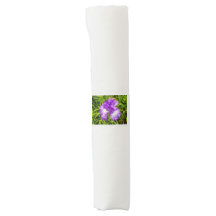 Purple and White Iris