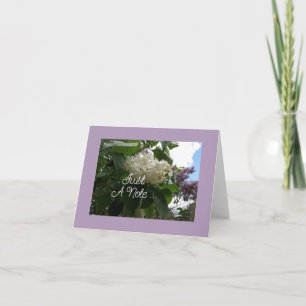 Purple And White Lilac Folded Greeting Card