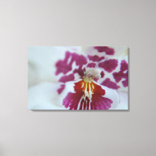 Purple and White Orchid Canvas Print