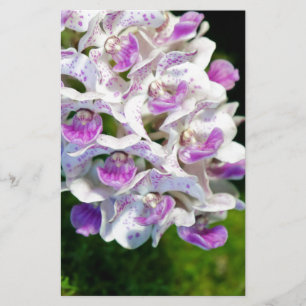Purple and White Orchids Stationery