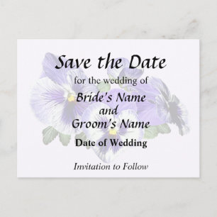 Purple and White Pansies Announcement Postcard