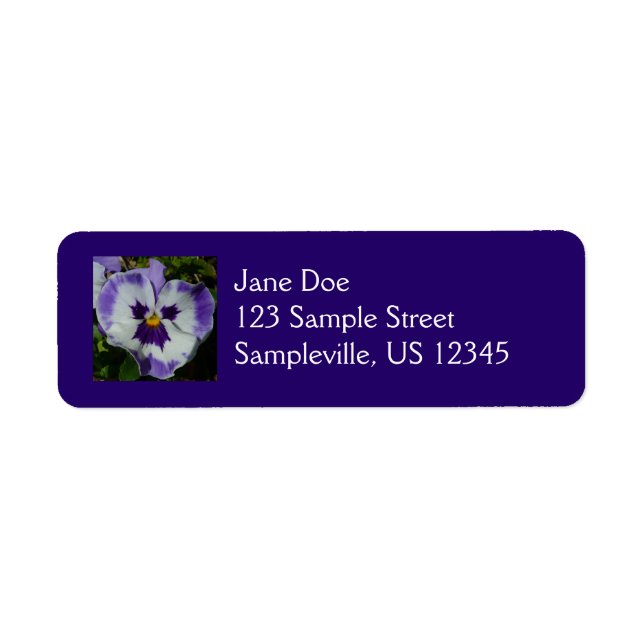 Purple and White Pansies Colourful Floral (Front)