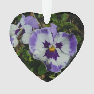 Purple and White Pansies Colourful Floral Ornament