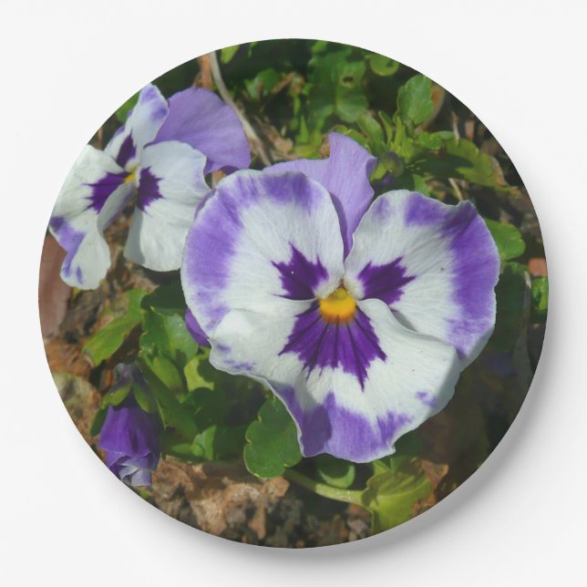 Purple and White Pansies Colourful Floral Paper Plate (Front)